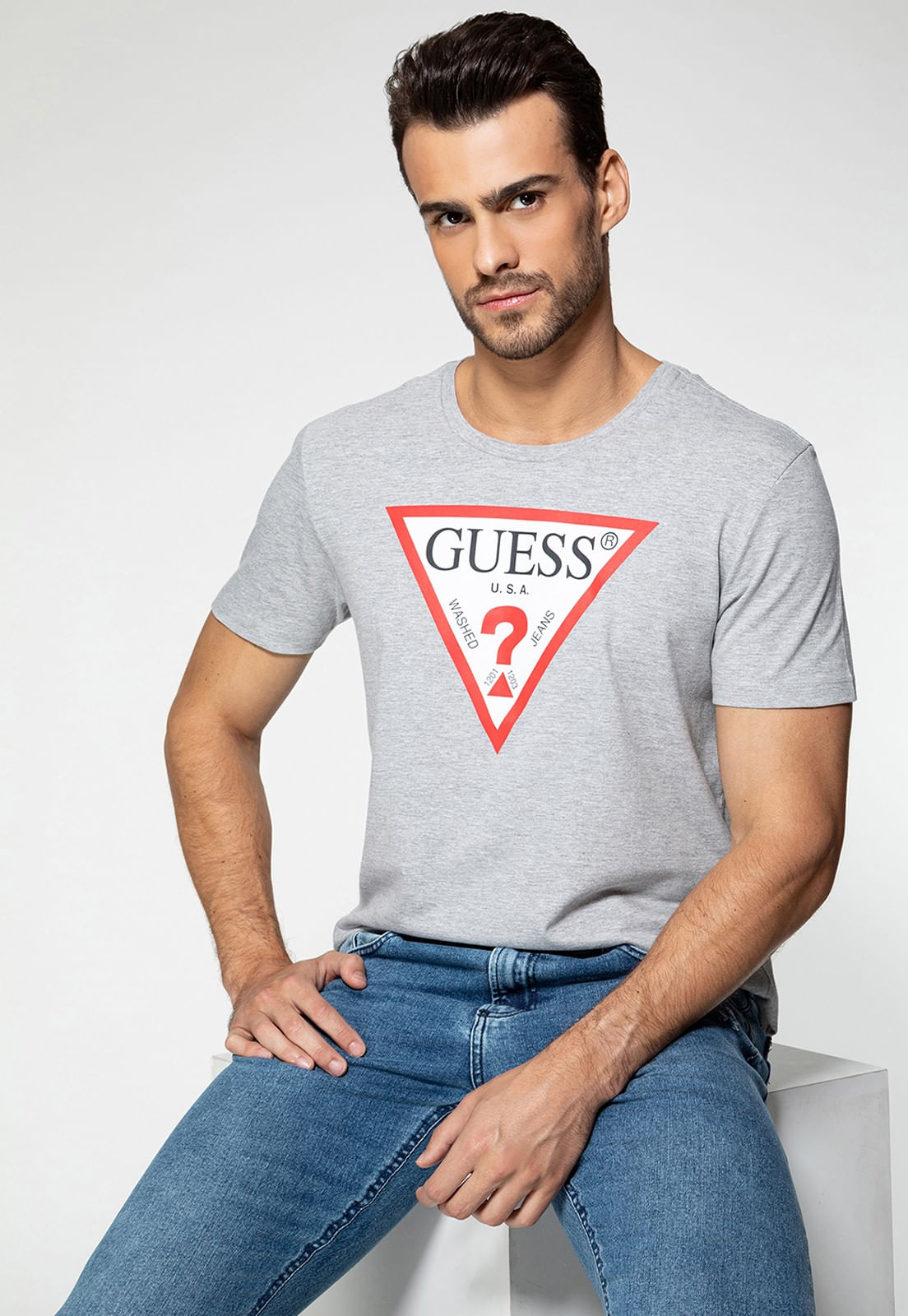 Camiseta Triangulo Tradicional Guess Cinza - Imagem 15