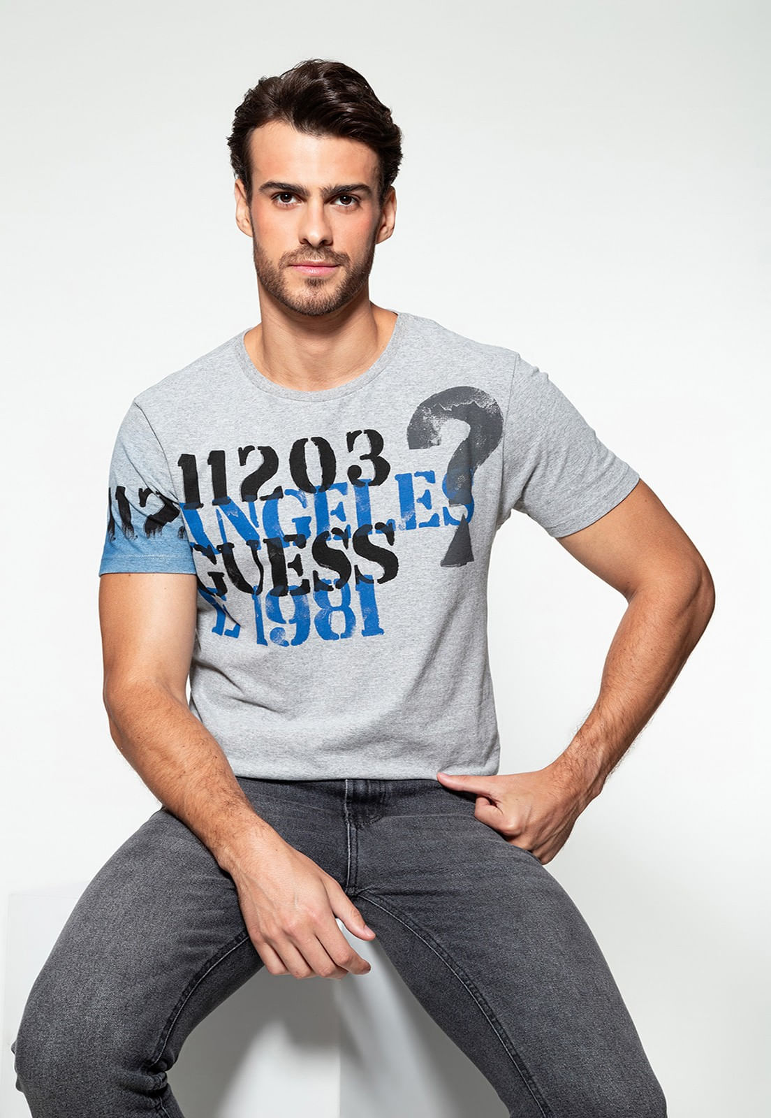 Camiseta Logo 1203 Guess Cinza - Imagem 25