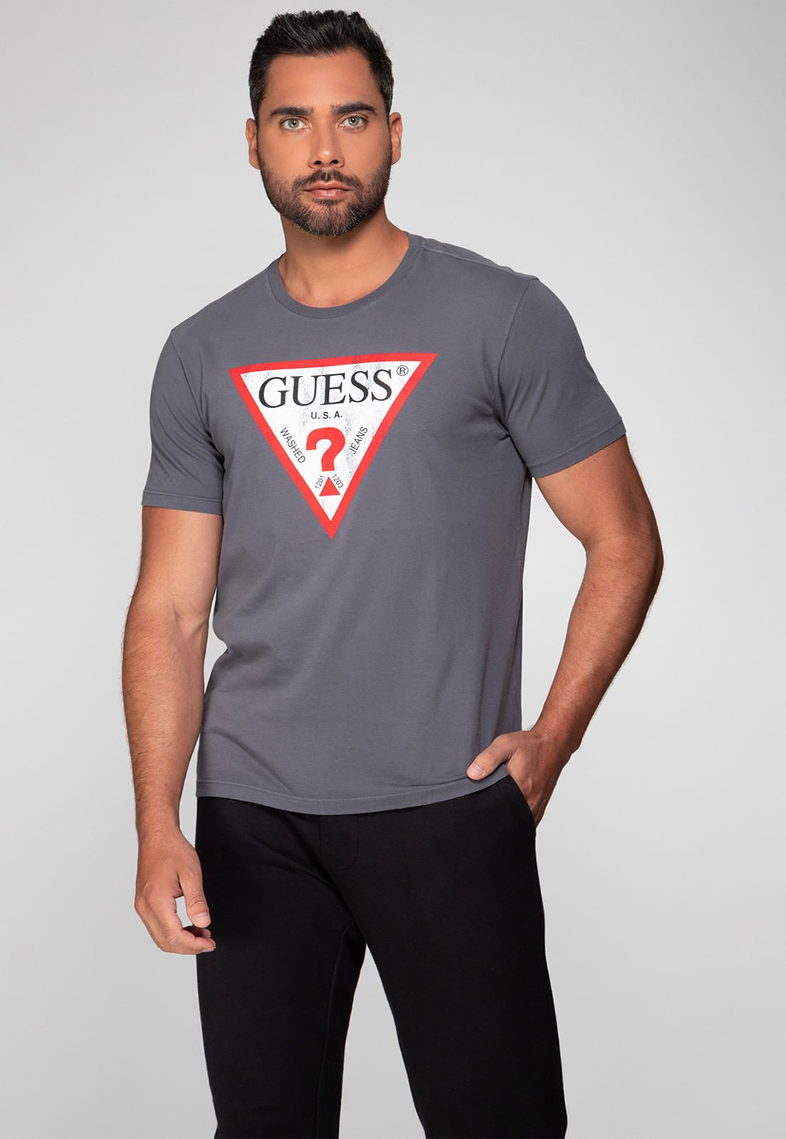 Camiseta Guess Triang Desgastado Cinza