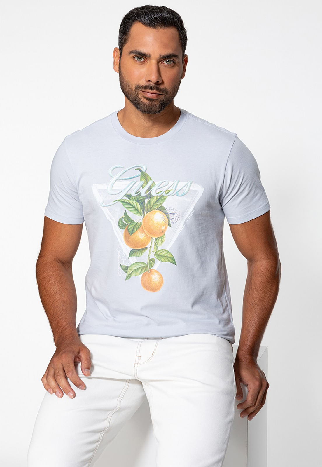 Camiseta Guess Silk Apricot Cinza Claro - Imagem 15