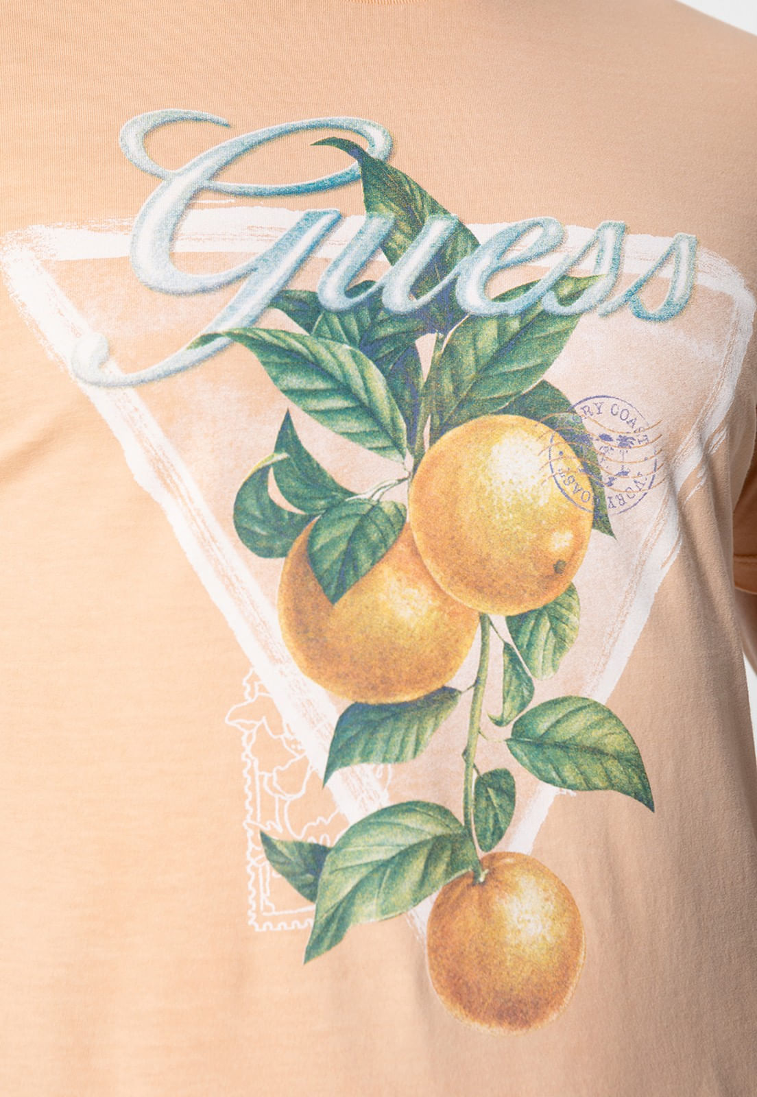 Camiseta Guess Silk Apricot Salmão - Imagem 21