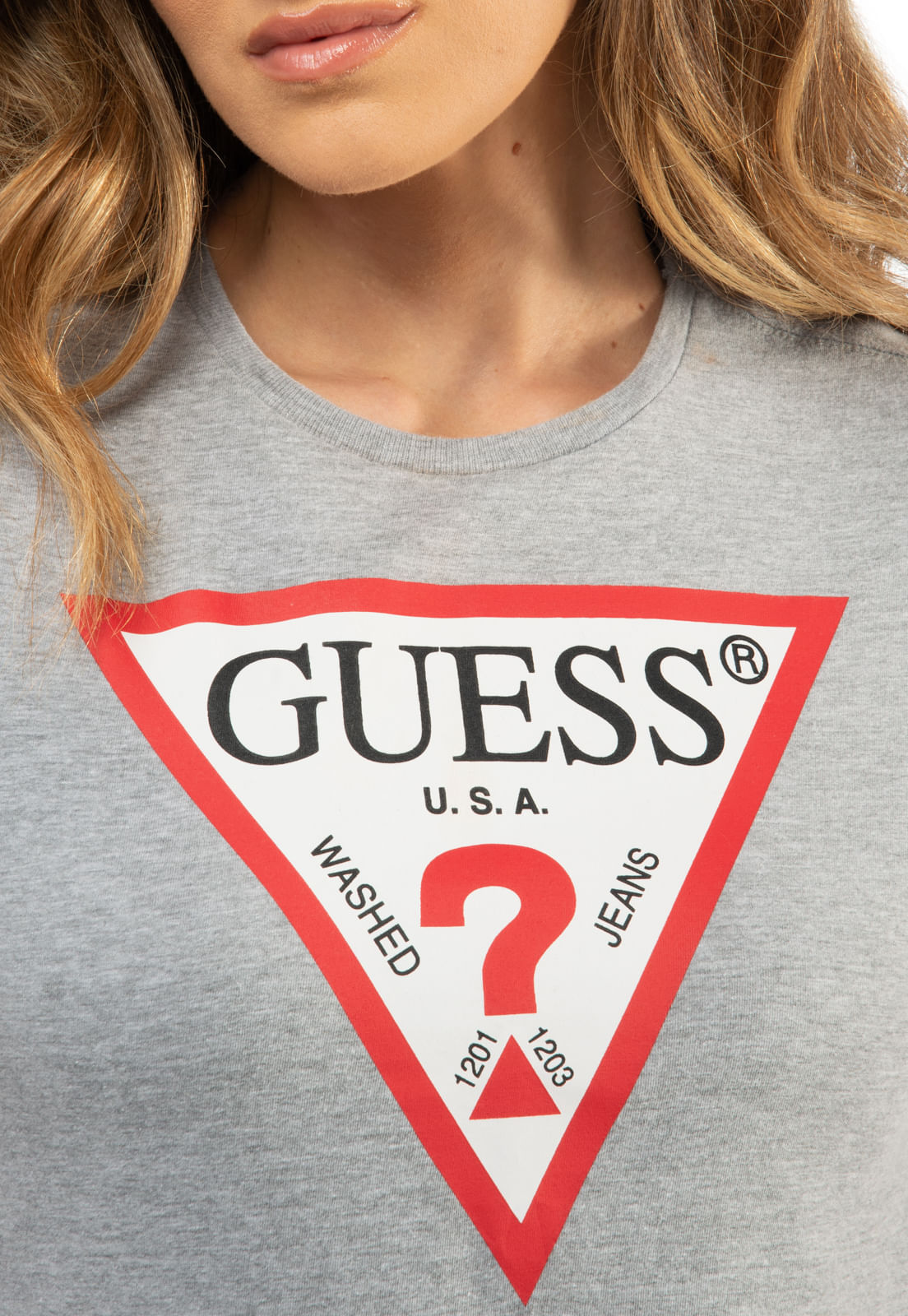 Camiseta Alg Orgânico Triangulo Trad Guess Cinza - Imagem 15
