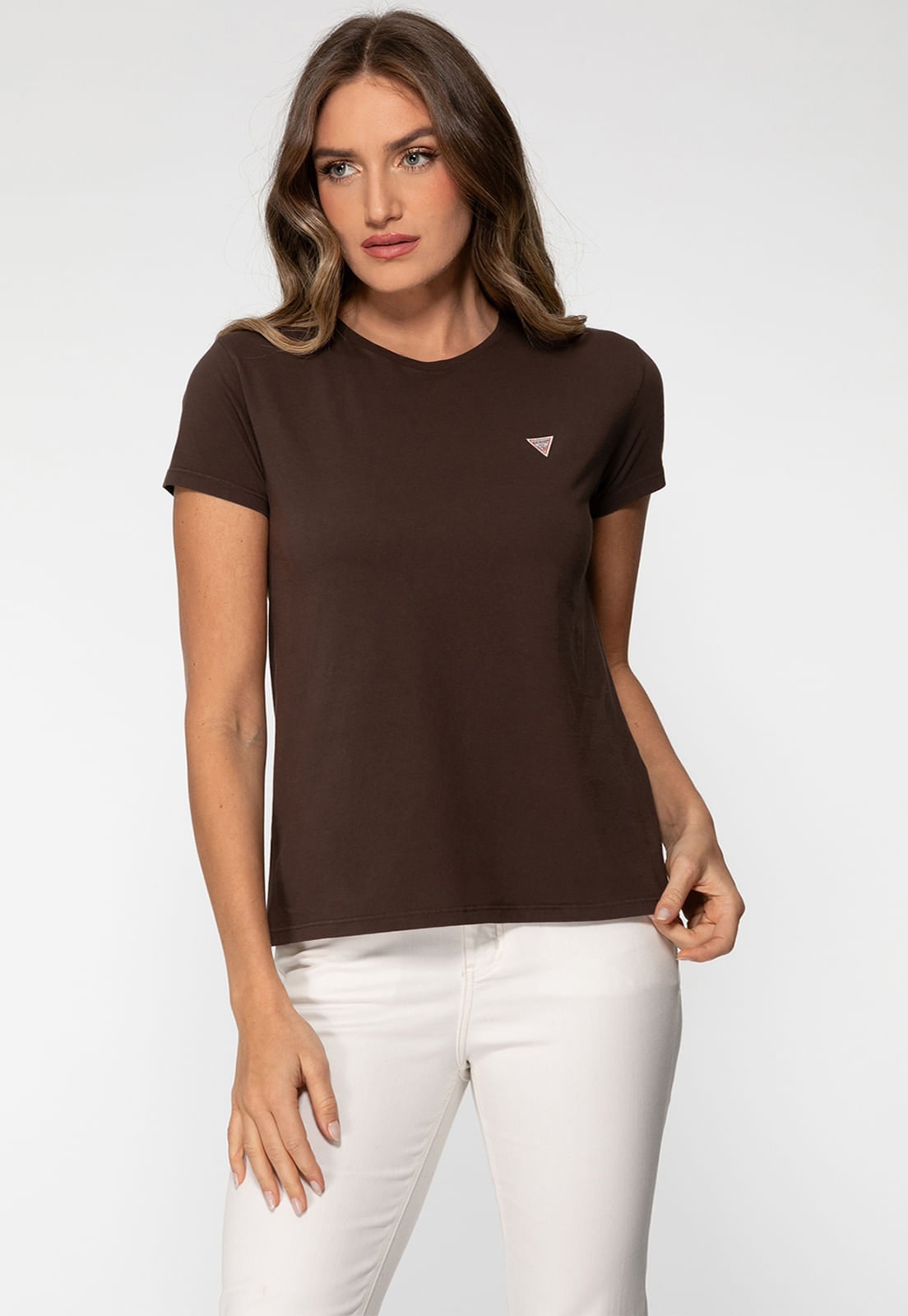 Camiseta Etiqueta Guess Triangulo Marrom - Imagem 18