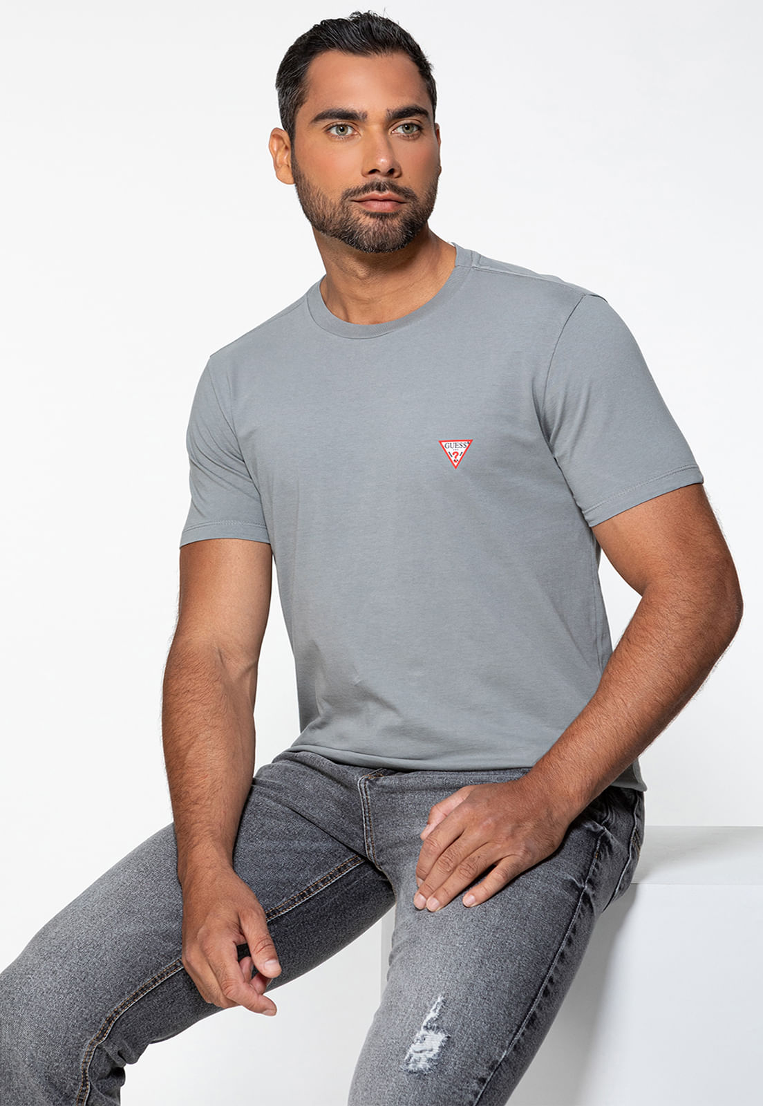 Camiseta Guess Triangulo Original Pq Cinza Claro - Imagem 13