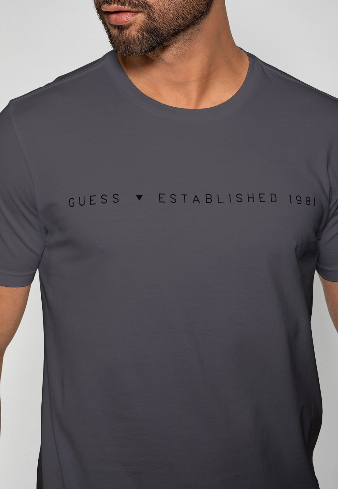 Camiseta Est 1981 Guess Cinza - Imagem 13