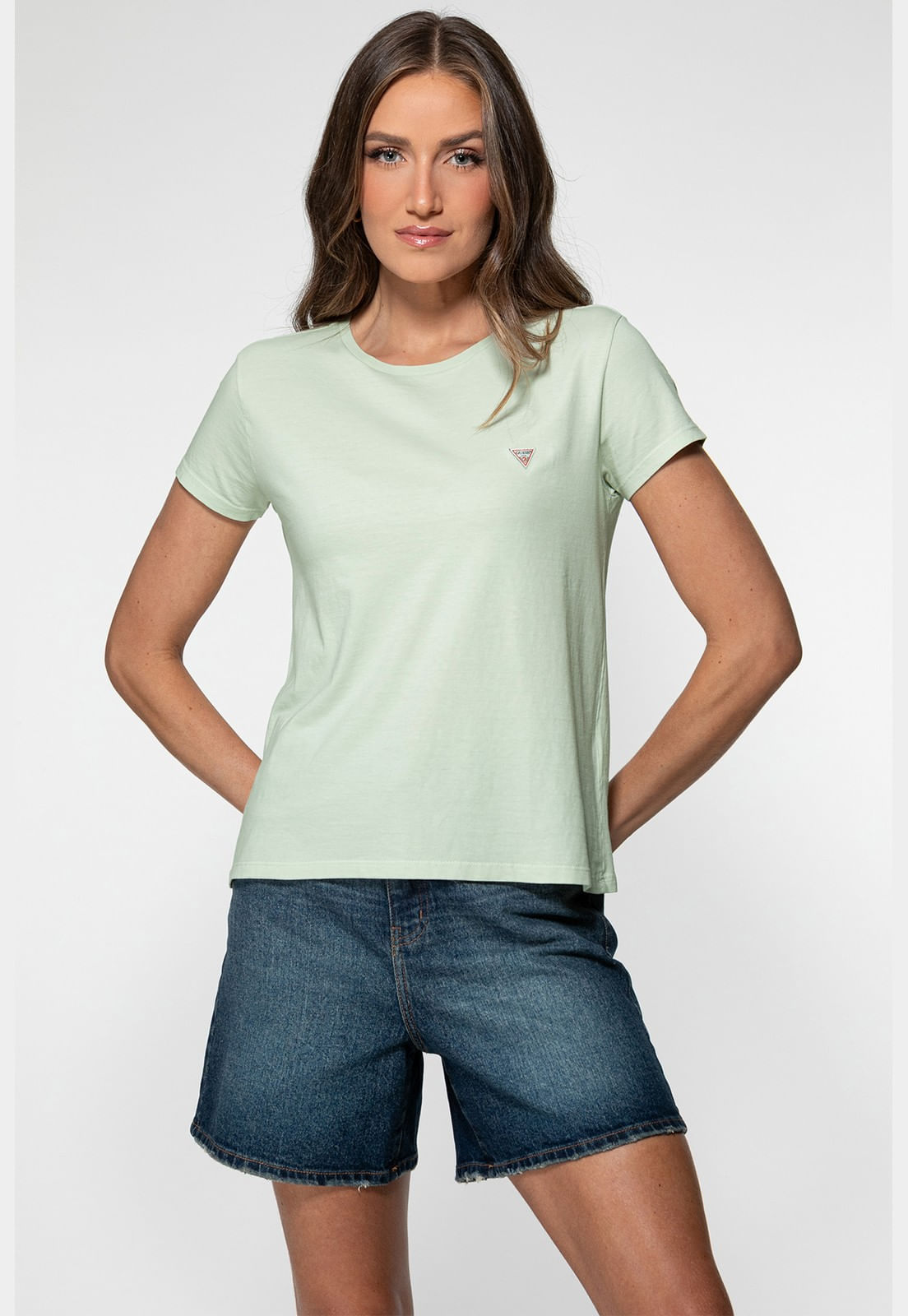 Camiseta Etiqueta Guess Triangulo Verde Claro